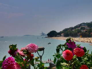 到廈門鼓浪嶼旅游_廈門鼓浪嶼旅游要多少錢2021_怎么去廈門鼓浪嶼旅游