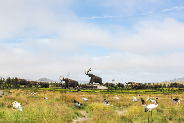 呼伦贝尔适合情侣吃饭的地方_呼伦贝尔适合情