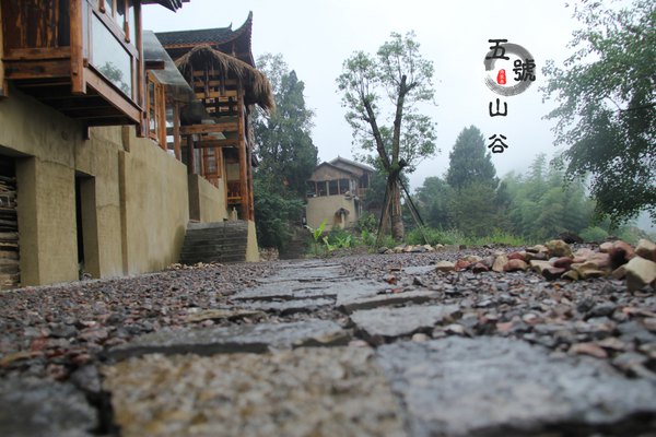 倚楼听风雨,携手归林远——入住张家界五号山谷乡村度假民居体验