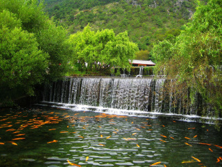 去云南香格里拉旅游_云南香格里拉旅游價格多少跟團_云南香格里拉旅游大約多少錢