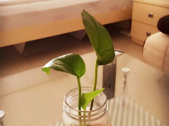 客房