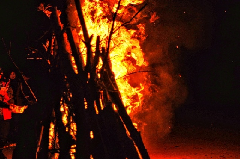 山楂树之恋以后,我在夷陵花田等你把我执手而