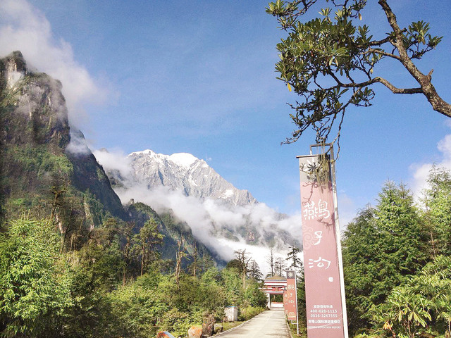 5℃,燕子沟风景区低海拔现代冰川,森林,山峰和温,冷