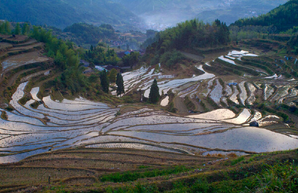 丽水适合老人玩的地方_丽水适合老人的景点_