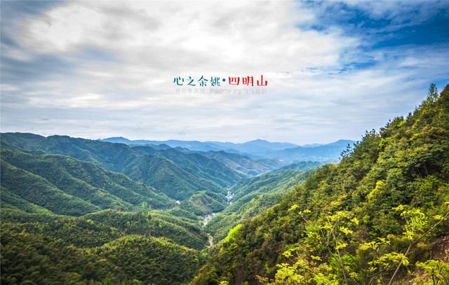 烂漫休闲地 山水林茶画中景