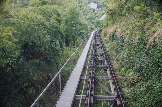 【南山竹海】饱览隐居竹林的宁静生活