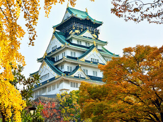 跟团去日本旅游多少钱_日本旅游纯玩跟团_深圳去日本跟团旅游