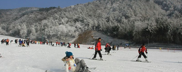 华体会- 华体会体育- 华体会体育官网标题：谷爱凌——雪上公主的自由式滑雪传奇ppt