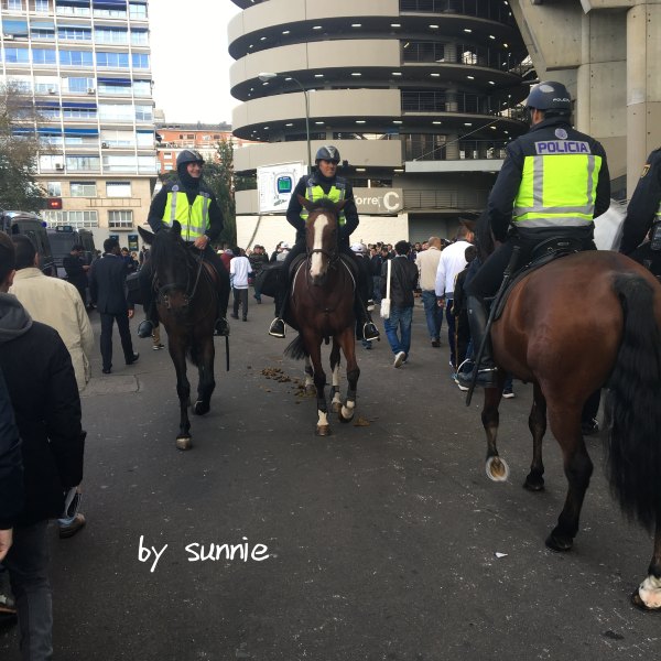 遍地的警车,警察,骑警,天上的直升机也一直巡逻,生怕出现一点意外