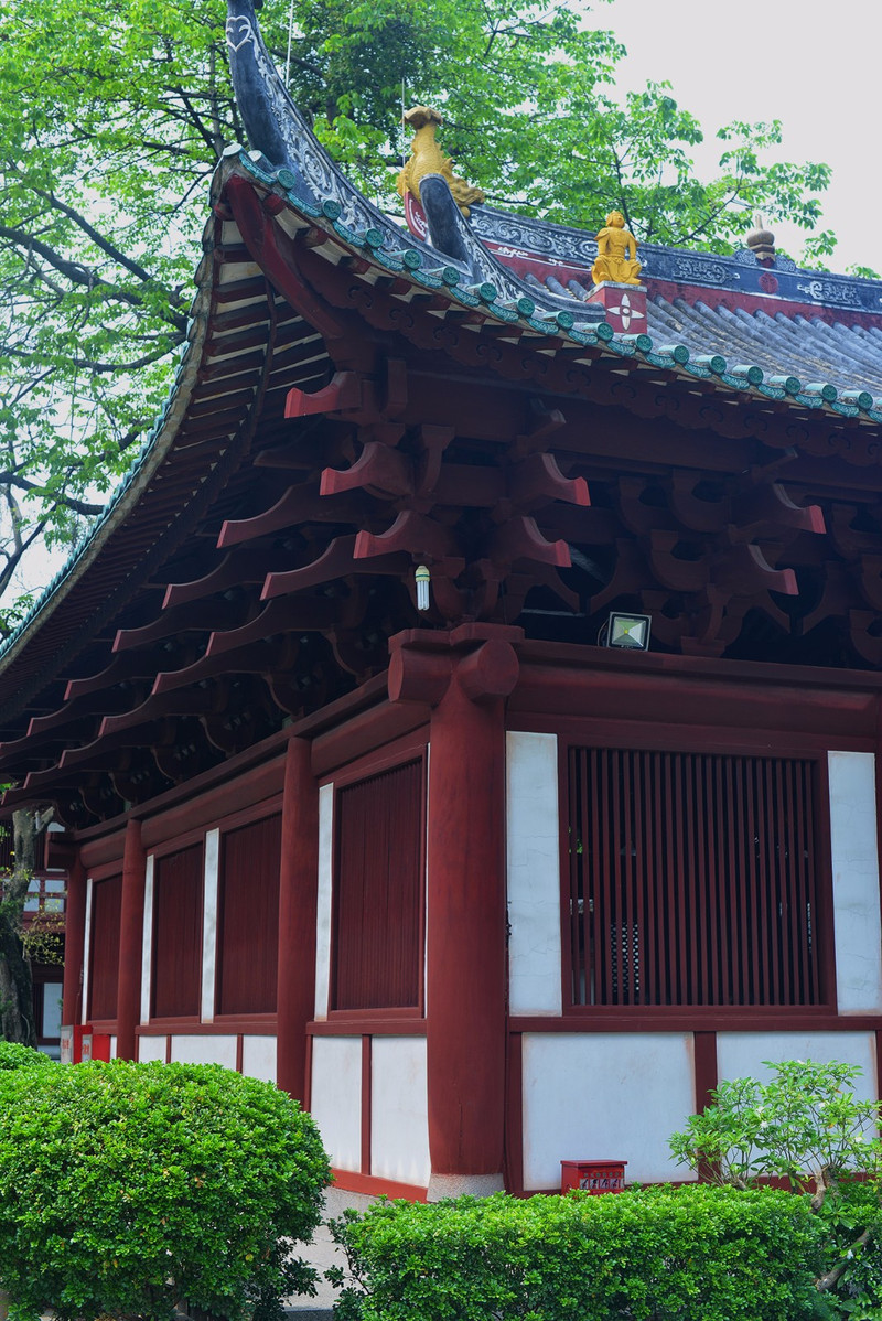 在广州最古老的寺庙遇见真实的自己