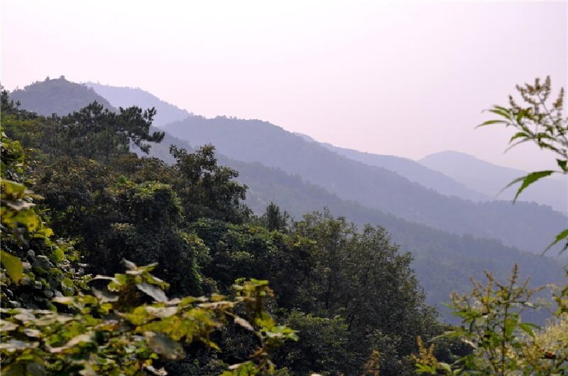 1天武汉木兰云雾山登山赏花玩法