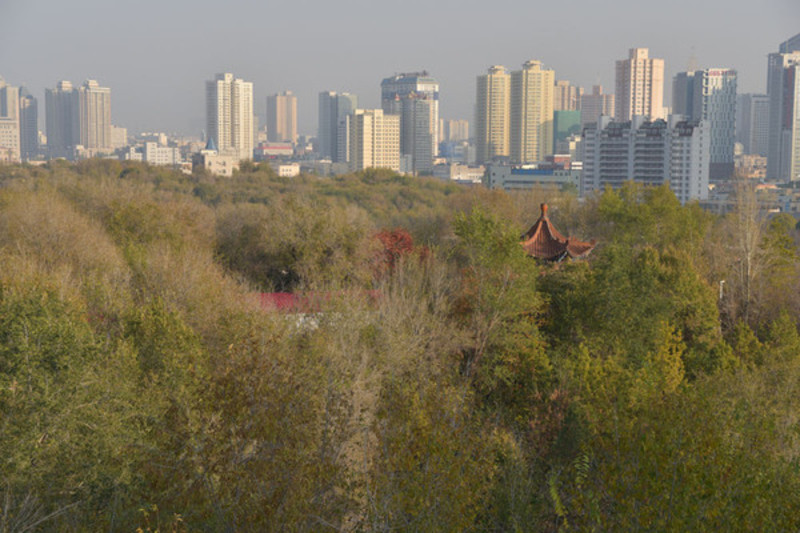 乌鲁木齐长住人口_新疆乌鲁木齐(2)