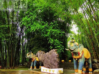 西雙版納八月份旅游_西雙版納報團旅游多少錢_西雙版納游 旅行團