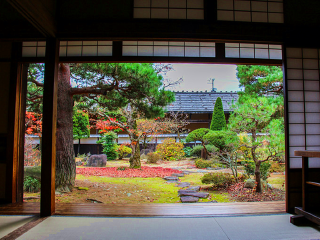深圳去日本旅游团报价_日本自由行组团_到到日本旅游