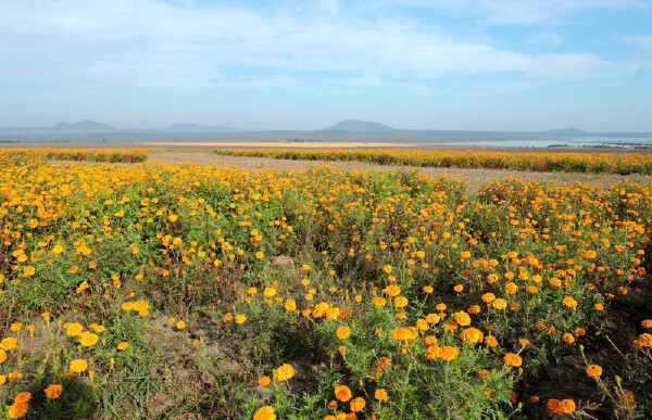 八月去长兴岛旅游必备物品_八月去长兴岛旅游