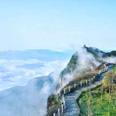 景点模块 