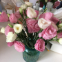 36379320
