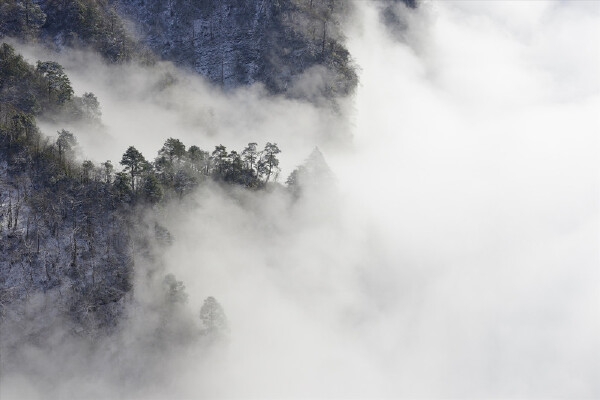 峨眉山3月天气怎么样_峨眉山穿衣指南_峨眉山