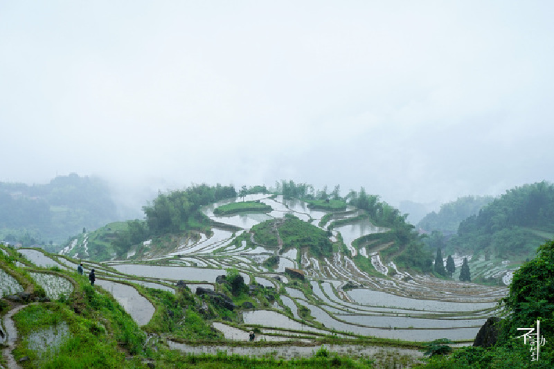 云和外地人口_云和梯田