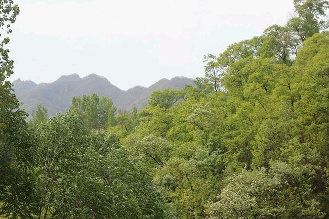 王屋山,国家级重点风景名胜区、国家AAAA级风景区,又称天坛山,主峰之巅有石坛,据说为轩辕黄帝祭天之所。位于河南省西北部的济源市,东依太行,西接中条,北连太岳,南临黄河,是中国九大古代名山之一,也是道教十大洞天之首,道教主流全真派圣地。一谓山中有洞,深不可入,洞中如王者之宫,故名曰王屋也。一谓山有三重,其状如屋,故名曰王屋也。王屋山绝顶海拔1715.