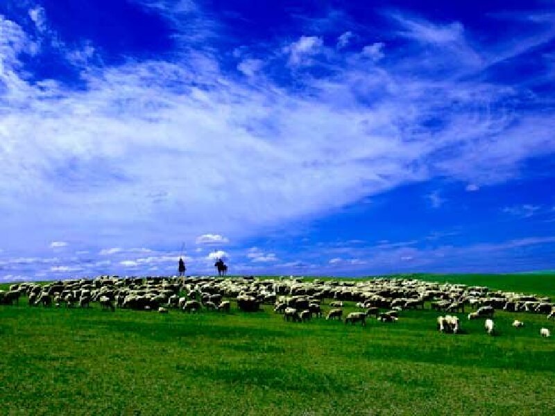 去呼伦贝尔--寻找英雄上马的地方