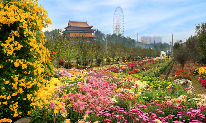 金华市东阳市花园村