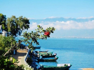 云南麗江旅游跟團(tuán)多少錢_云南麗江旅游要多少錢2021_深圳特價云南麗江游