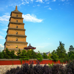 景点模块 