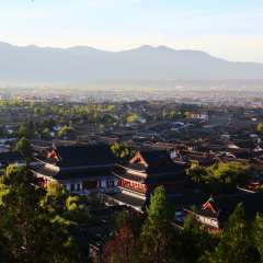 活动模块 