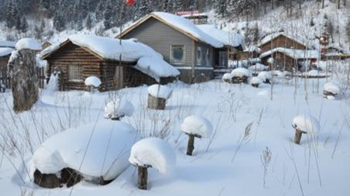 雪乡2日游 秃顶子山雪地摩托 羊草山 大雪谷