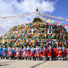 活动模块 