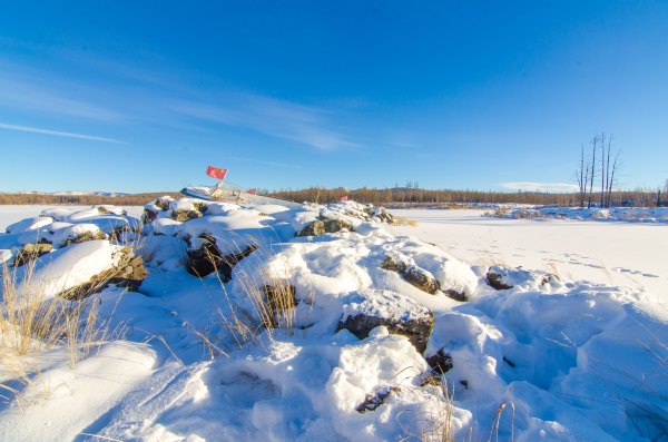 过大年#做一匹冬天的野马,在呼伦贝尔的雪原上狂欢撒野