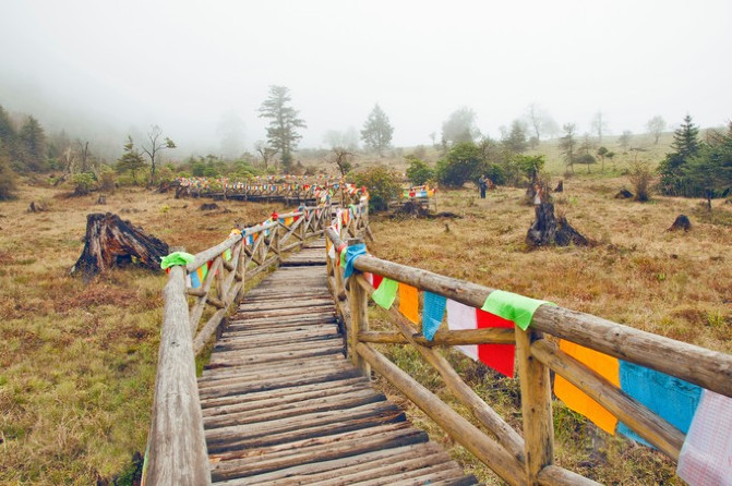 雅安地震_雅安人均105万(3)