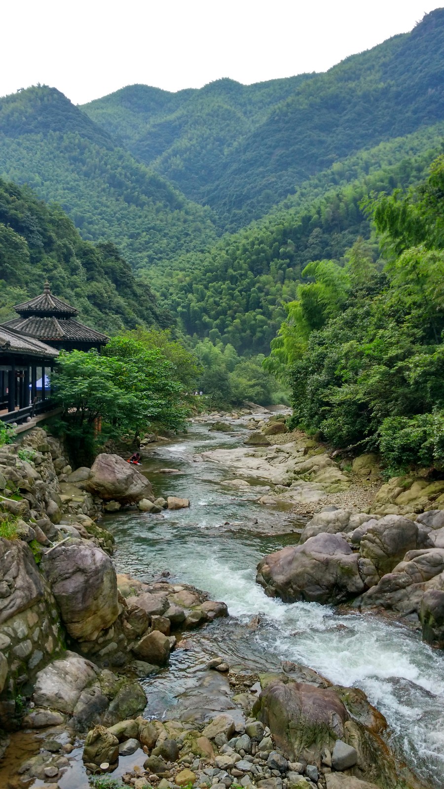 宁波天宫庄园植物世界