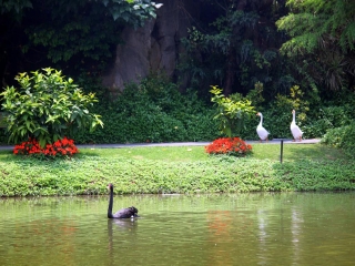 廈門(mén)鼓浪嶼自由行費(fèi)用_報(bào)團(tuán)去廈門(mén)鼓浪嶼多少錢(qián)_廈門(mén)鼓浪嶼旅游多少錢(qián)