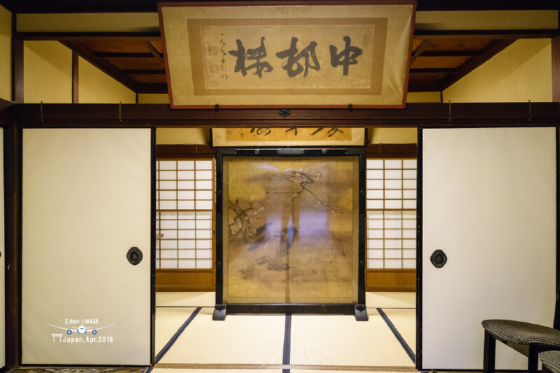 世界那么大之日本 #花样奶奶#樱花の旅