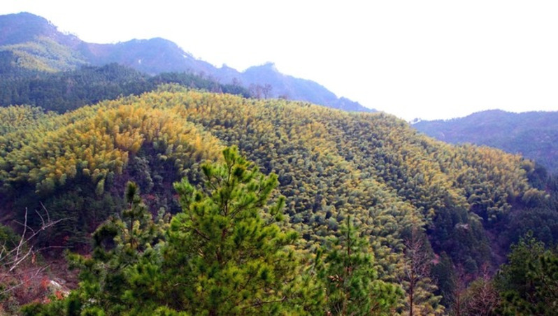 罗田薄刀峰风景区东篱下农家乐住宿——三天两晚吃货饕餮盛宴