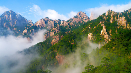 黄山春景