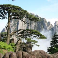 景点模块 