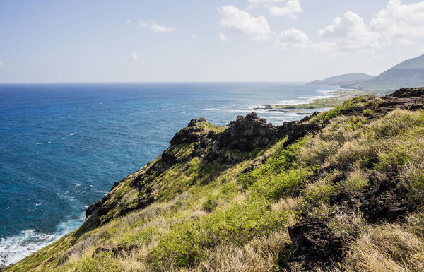 春天去自由女神像旅游必备物品_自由女神像旅