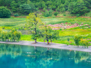 云南麗江旅游花費一般多少_暑假云南麗江游價格_云南麗江旅游最佳路線