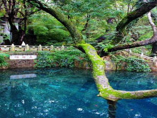 云南大理麗江旅游大約多少錢_云南大理麗江游跟團(tuán)多少錢_到云南大理麗江旅游多少錢