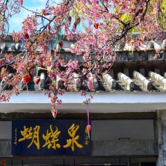 景点模块 