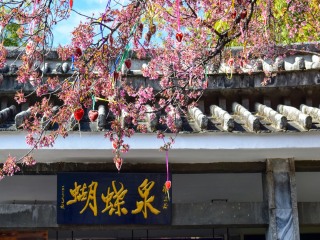 云南麗江半自由行_云南麗江最佳旅游路線_云南麗江游特價團