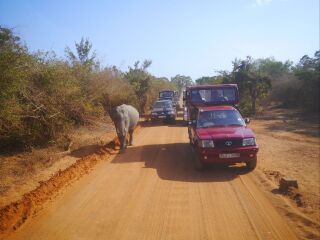 斯里蘭卡旅游報(bào)價(jià)_8月斯里蘭卡旅游_斯里蘭卡私人定制旅游