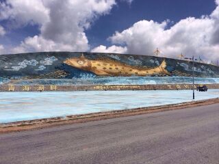 青海旅游大約多少錢_深圳特價(jià)青海游_青海私人定制旅游