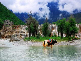 旅游團(tuán)云南西雙版納_到云南西雙版納旅游報團(tuán)價格_云南西雙版納旅行團(tuán)自由行