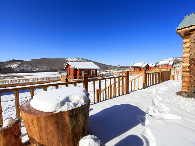 团体定制 呼伦贝尔大雪原 额尔古纳湿地 敖鲁古雅驯鹿 冷极村 满洲里