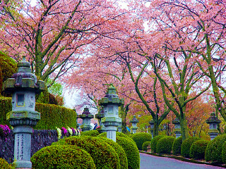 日本10日游旅行团_旅行线路日本_日本5天跟团旅游