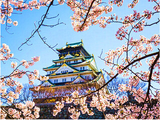 日本10日游旅行团_旅行线路日本_日本5天跟团旅游